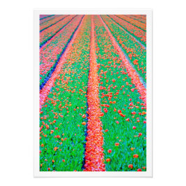 写真の拡大 フォトプリント