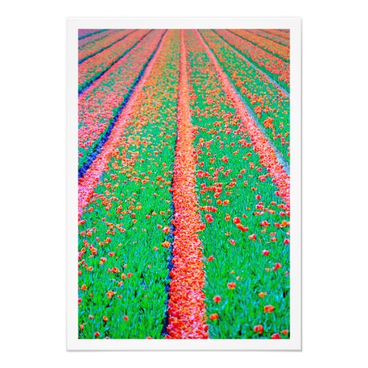 写真の拡大 フォトプリント            (正面)