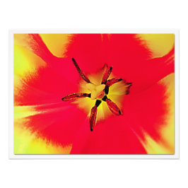 写真の拡大 フォトプリント