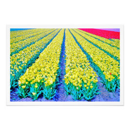 写真の拡大 フォトプリント