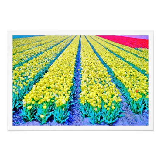 写真の拡大 フォトプリント            (正面)