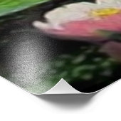 写真の拡大 フォトプリント            (角)