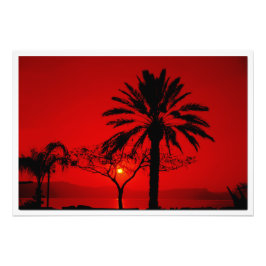 写真の拡大 フォトプリント           