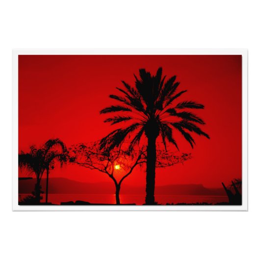 写真の拡大 フォトプリント            (正面)