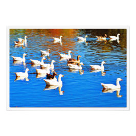 写真の拡大 フォトプリント           