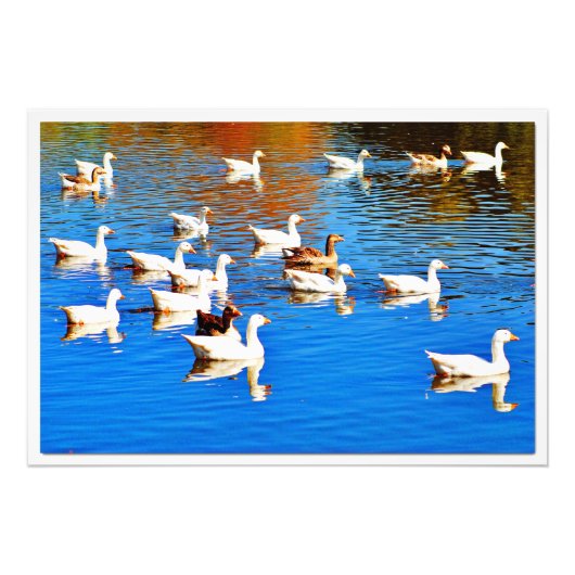 写真の拡大 フォトプリント            (正面)