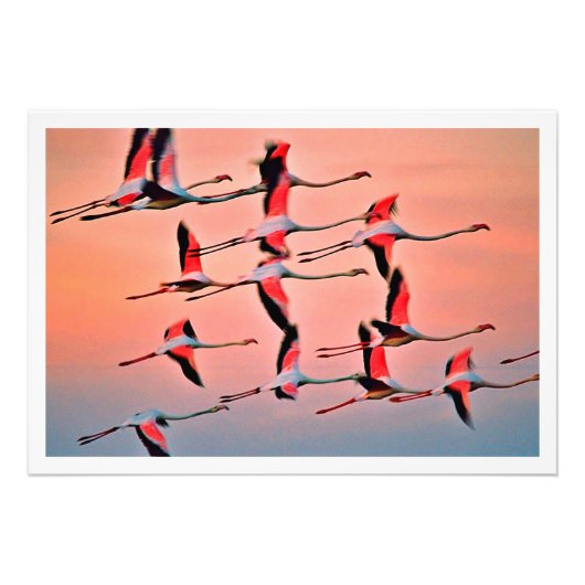 写真の拡大 フォトプリント            (正面)