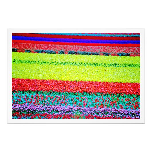 写真の拡大 フォトプリント            (正面)