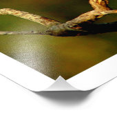 写真の拡大 フォトプリント            (角)