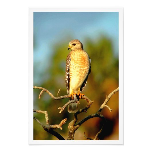 写真の拡大 フォトプリント            (正面)