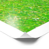 写真の拡大 フォトプリント            (角)