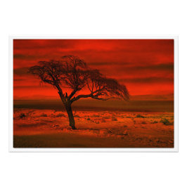 写真の拡大 フォトプリント           