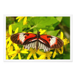 写真の拡大 フォトプリント           