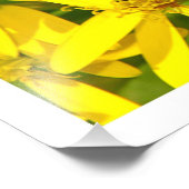 写真の拡大 フォトプリント            (角)