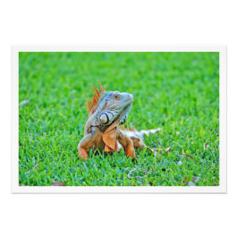 写真の拡大 フォトプリント           