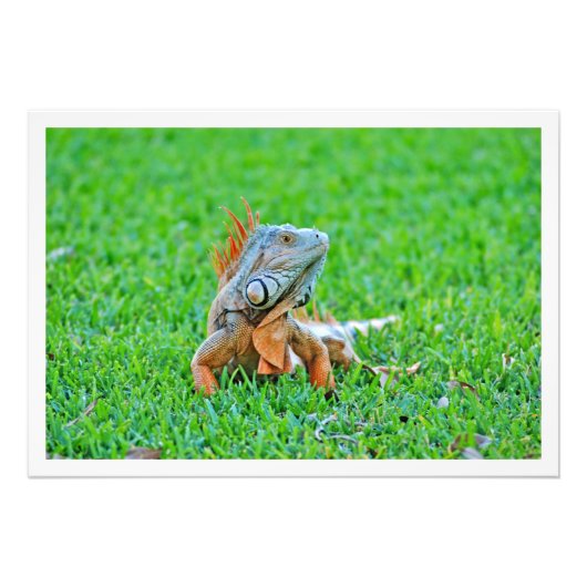 写真の拡大 フォトプリント            (正面)