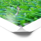 写真の拡大 フォトプリント            (角)