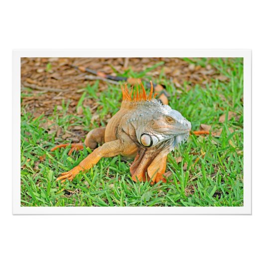 写真の拡大 フォトプリント            (正面)