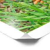 写真の拡大 フォトプリント            (角)