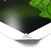 写真の拡大 フォトプリント            (角)