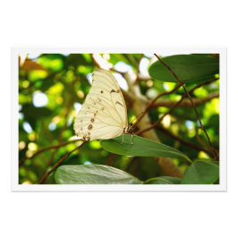 写真の拡大 フォトプリント           