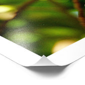 写真の拡大 フォトプリント            (角)