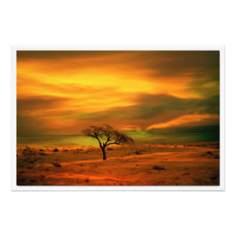 写真の拡大 フォトプリント           