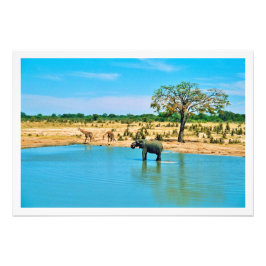 写真の拡大 フォトプリント           