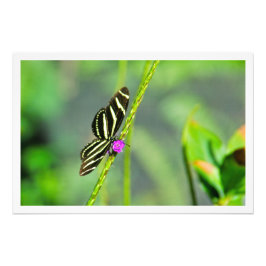 写真の拡大 フォトプリント           