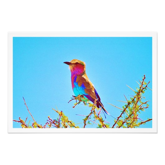 写真の拡大 フォトプリント            (正面)