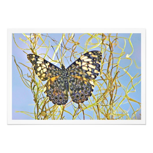 写真の拡大 フォトプリント            (正面)