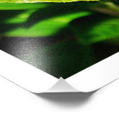 写真の拡大 フォトプリント            (角)