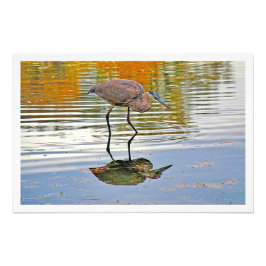 写真の拡大 フォトプリント           