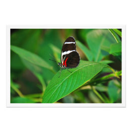 写真の拡大 フォトプリント           