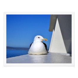 写真の拡大 フォトプリント           