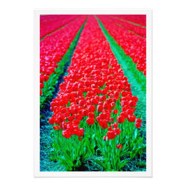 写真の拡大 フォトプリント