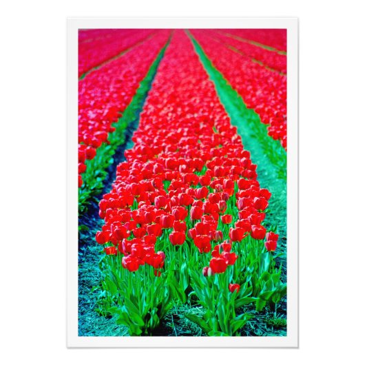 写真の拡大 フォトプリント            (正面)