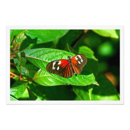 写真の拡大 フォトプリント           