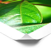 写真の拡大 フォトプリント            (角)