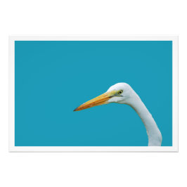 写真の拡大 フォトプリント           