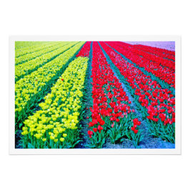 写真の拡大 フォトプリント