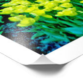 写真の拡大 フォトプリント            (角)