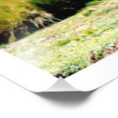 写真の拡大 フォトプリント            (角)