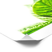 写真の拡大 フォトプリント            (角)