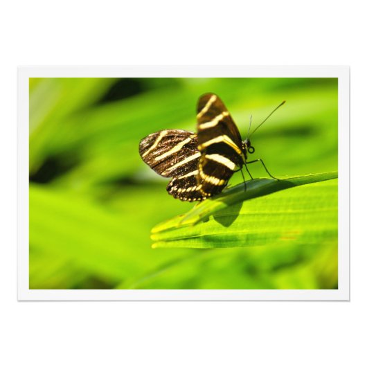 写真の拡大 フォトプリント            (正面)