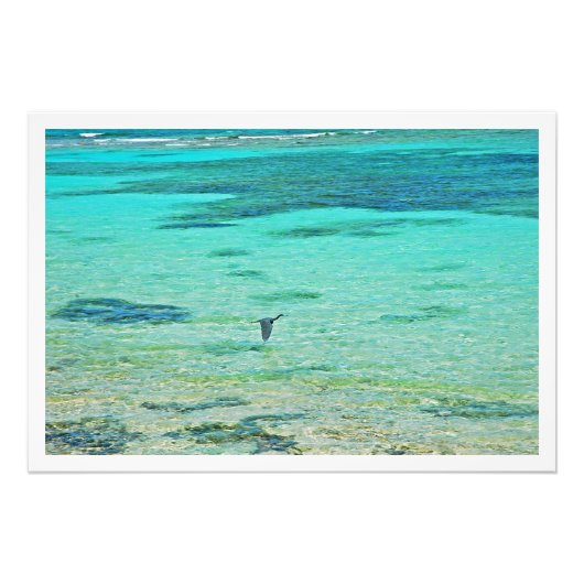 写真の拡大 フォトプリント            (正面)