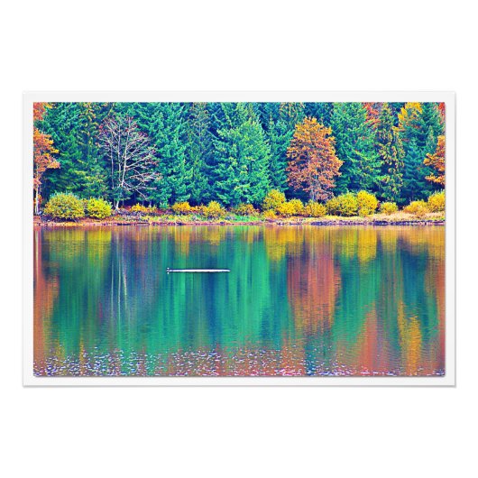 写真の拡大 フォトプリント            (正面)