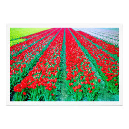 写真の拡大 フォトプリント