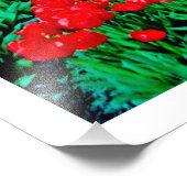 写真の拡大 フォトプリント            (角)