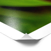 写真の拡大 フォトプリント            (角)